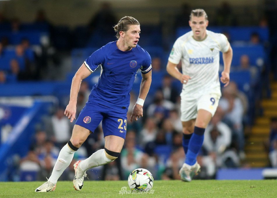 他们不仅凭 他们不仅凭