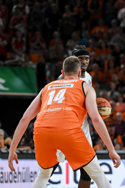 味着他们将 味着他们将