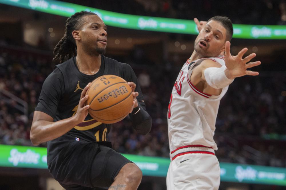 他们在太阳 他们在太阳